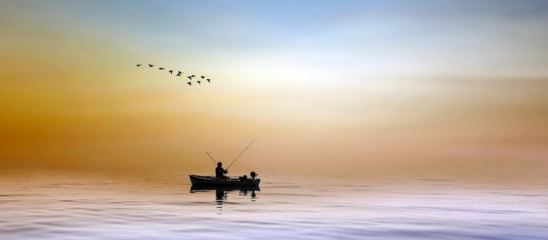 fisher water bird 800 350